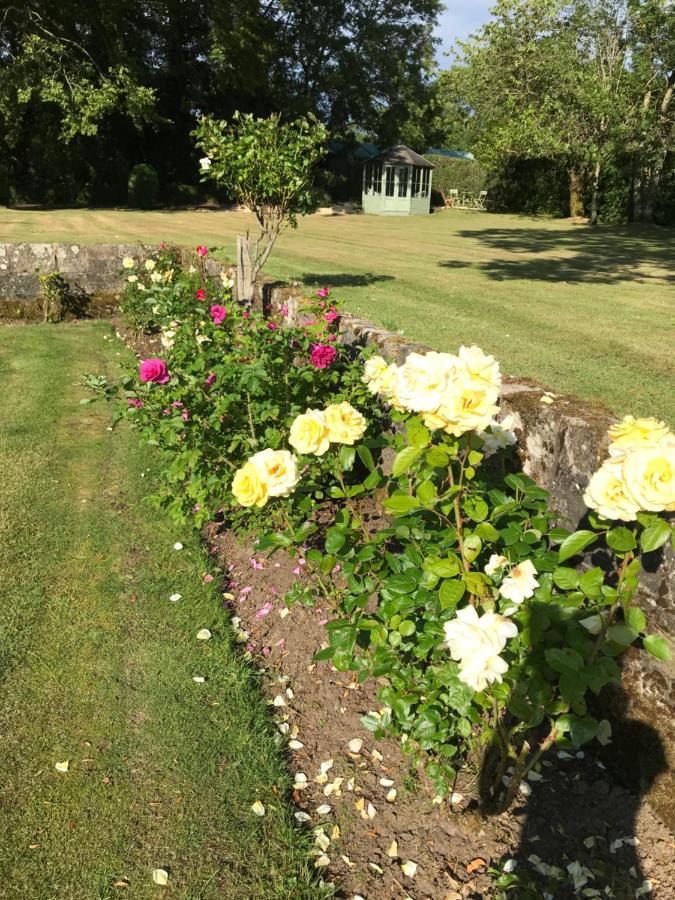 South Craighall B&B Eaglesham 外观 照片