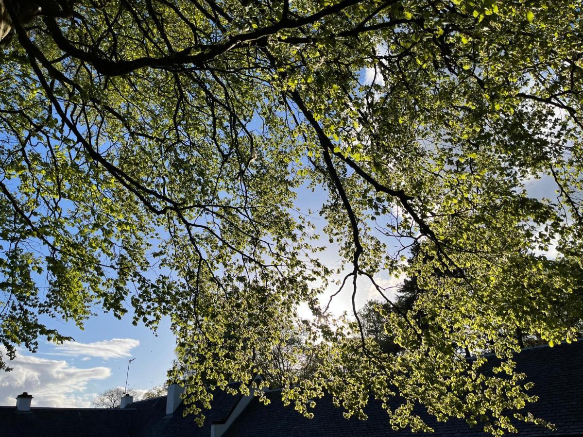 South Craighall B&B Eaglesham 外观 照片