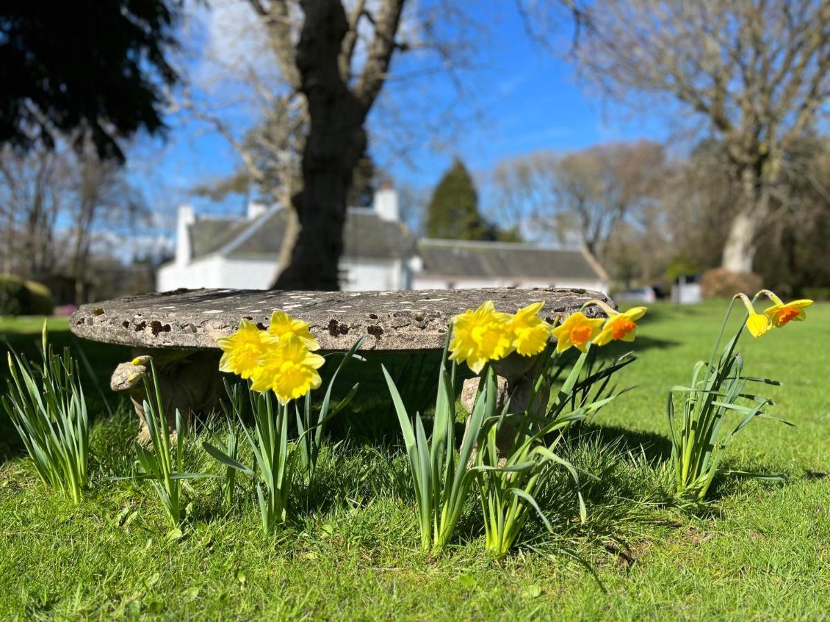 South Craighall B&B Eaglesham 外观 照片